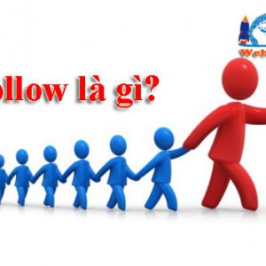 Follow Là Gì