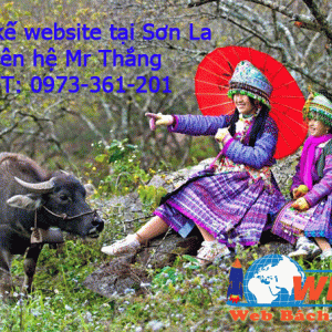 Thiết Kế Website Tại Sơn La