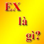 EX là gì? Ex viết tắt của từ gì? ex nghĩa là gì? Cách sử dụng ex.