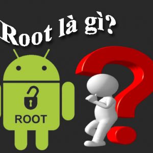 Root Là Gì