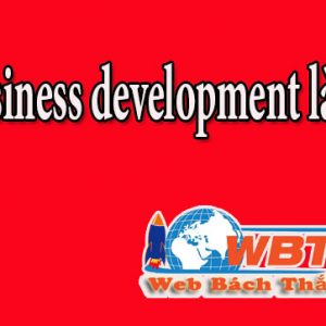 Business Development Là Gì