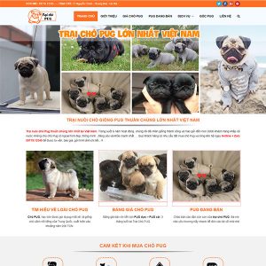 Mẫu Website Bán Chó Cảnh – Trại Chó Pug WBT1138
