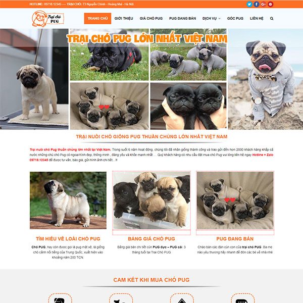 Mẫu Website Bán Chó Cảnh - Trại Chó Pug WBT1138