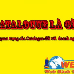 Kn-catalogue-la-gi
