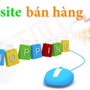 Thiết Kế Website Bán Hàng Online Trọn Gói Chuẩn Seo Chuẩn Mobile