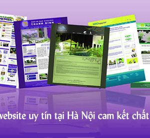 Công Ty Thiết Kế Website Uy Tín Tại Hà Nội Cam Kết Chất Lượng